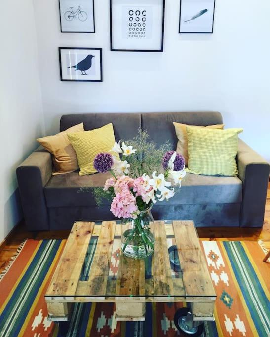 Vintage Apartment Rovinj Old Town Luaran gambar